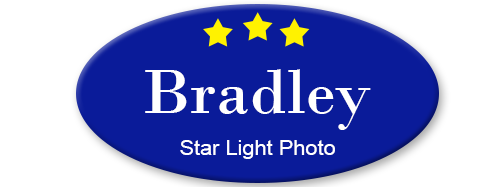 employee badges online