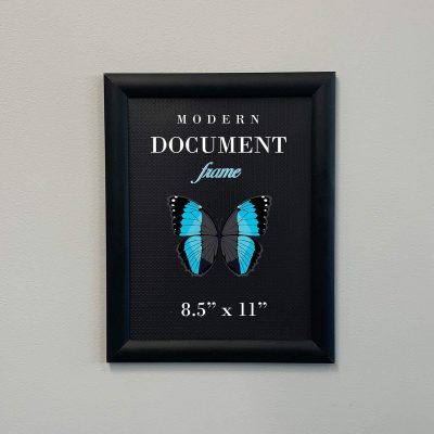 snap frame